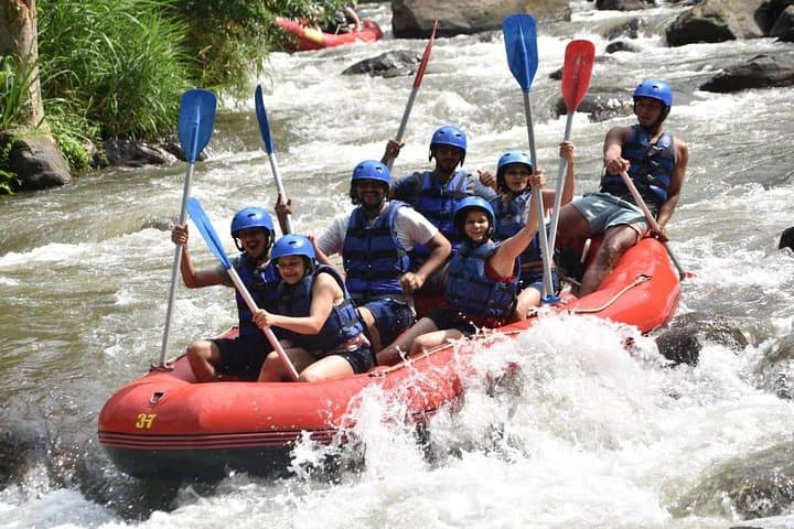Ayung River Rafting and ATV Ride in Ubud — Full-Day Adventure photo 3