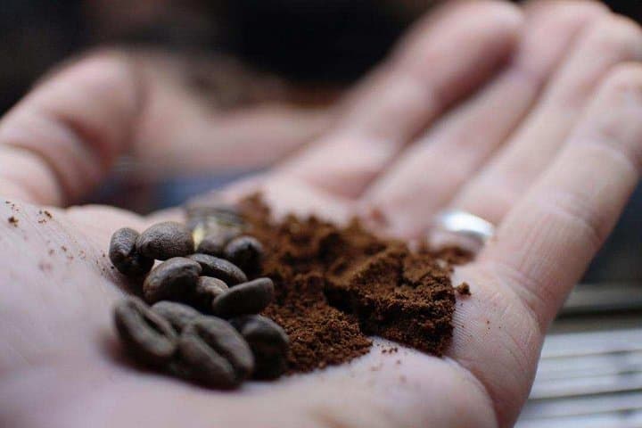 Minca Coffee, Cocoa & Waterfalls: Full-Day Hike in the Sierra Nevada photo 2