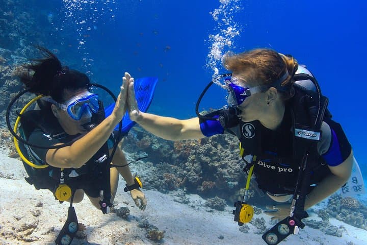 Hurghada Red Sea: Full-Day 2-Dive Boat Trip for Certified Divers