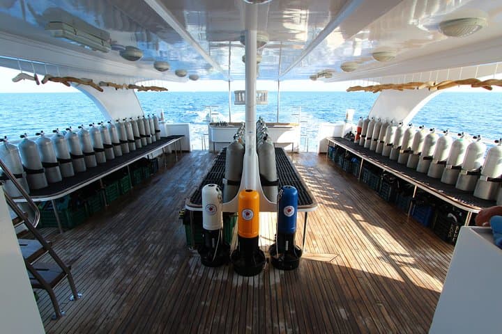 Hurghada Red Sea: Full-Day 2-Dive Boat Trip for Certified Divers photo 5