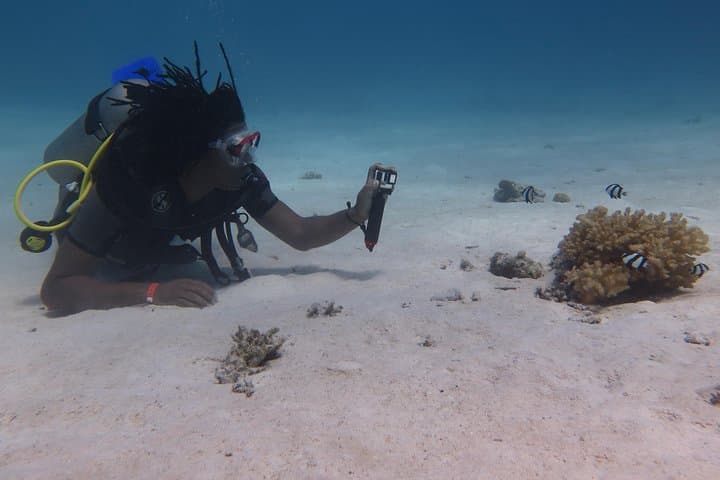 Red Sea Two-Tank Dive from Hurghada — Guided Dives with Equipment photo 3