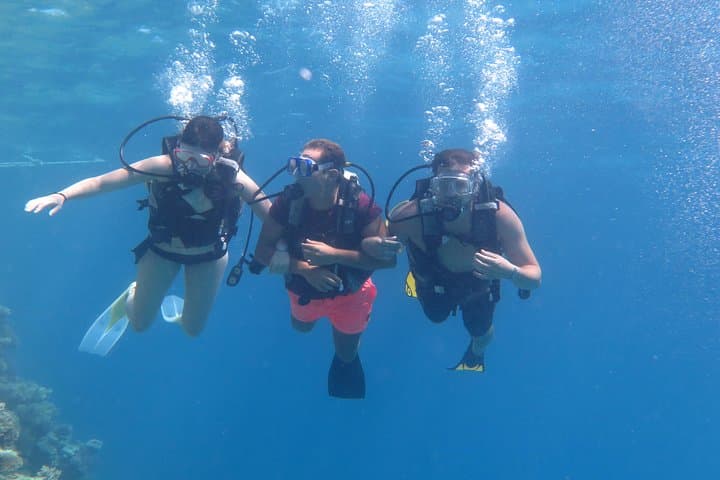 Red Sea Two-Tank Dive from Hurghada — Guided Dives with Equipment photo 4