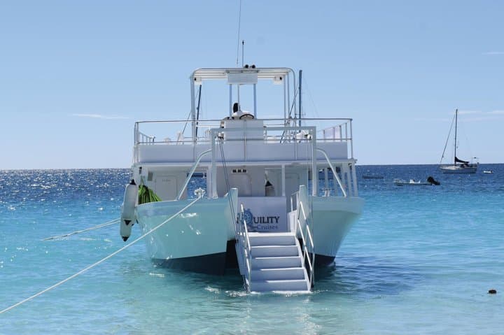 Barbados Island Tour: Monkey Feeding, Bathsheba & Turtle Snorkel in Carlisle Bay photo 5