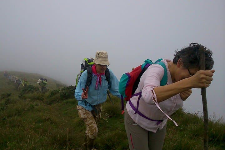 Half-Day Top Valley Trek in Munnar: Tea Terraces, Shola Trails & Misty Views photo 3