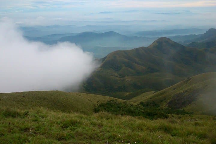 Half-Day Top Valley Trek in Munnar: Tea Terraces, Shola Trails & Misty Views photo 4