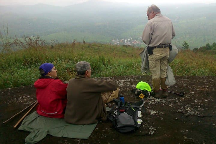Half-Day Top Valley Trek in Munnar: Tea Terraces, Shola Trails & Misty Views photo 5