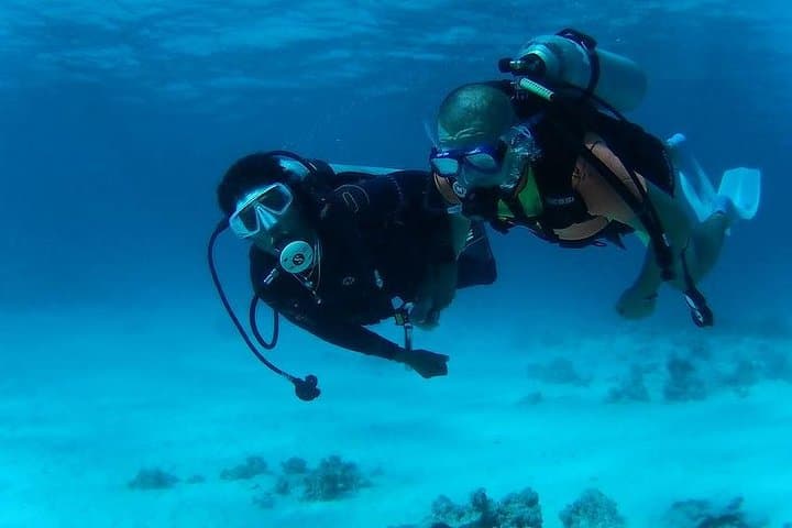 Red Sea Day Scuba Trip from Hurghada — Two Dives, Turtles & Coral Reefs
