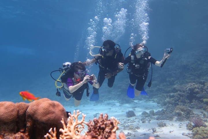 Red Sea Day Scuba Trip from Hurghada — Two Dives, Turtles & Coral Reefs photo 2