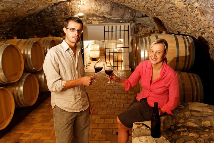 Two-Day Loire Valley Private TGV Tour: Chambord, Chenonceau, Clos Lucé & Wine photo 1