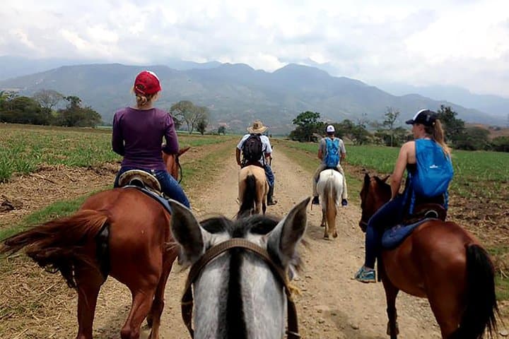Horseback Riding Near Cali: Cloud-Forest Trails & Sugarcane Gallops photo 6