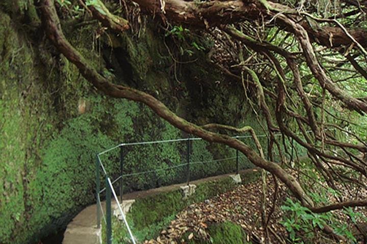 Caldeirão Verde Levada Walk — Queimadas to the 100m Waterfall in Madeira