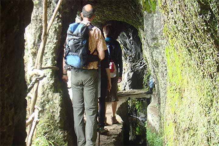 Laurissilva Forest Walk: Ribeiro Frio to Portela Levada Hike in Madeira