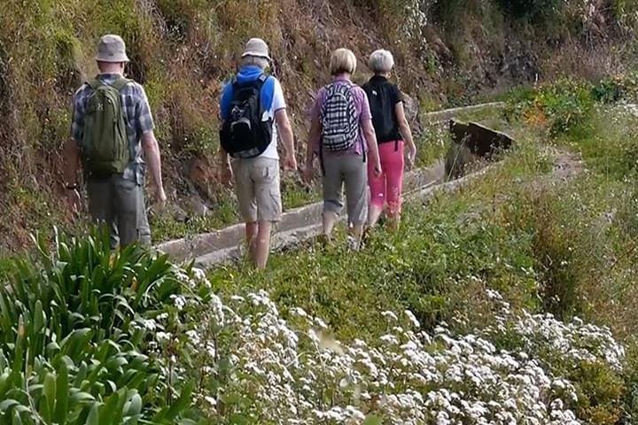 Levada do Norte: Quinta Grande Easy Levada Walk on Madeira
