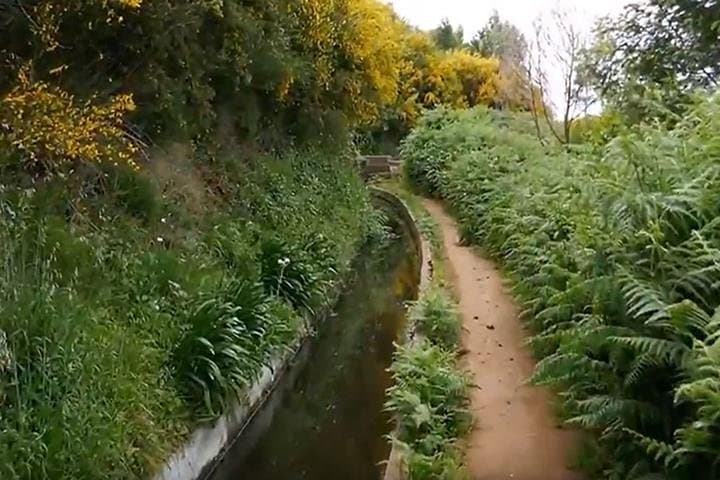 Levada do Norte: Quinta Grande Easy Levada Walk on Madeira photo 2