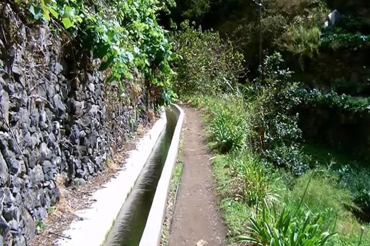 Mimosa Valley Levada Walk: Easy 4‑Hour Hike Above Machico, Madeira