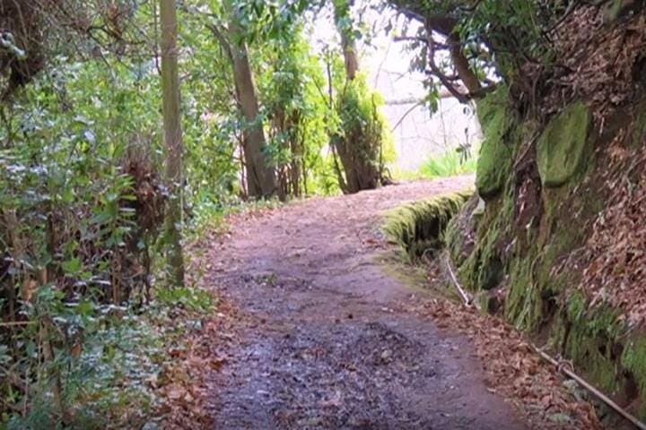 Valley de Paradise Levada Walk in Camacha, Madeira — Easy Guided Levada Stroll