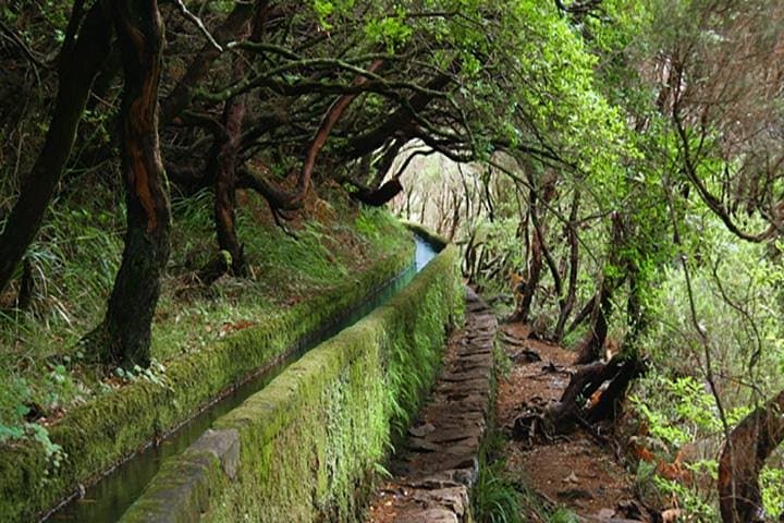 Rabacal 25 Fountains Levada Walk — Guide to 25 Fontes Hike