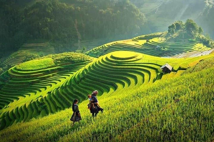 Essential Sapa Trek: Lao Chai, Ta Van & Cat Cat Villages (3D/2N) photo 2