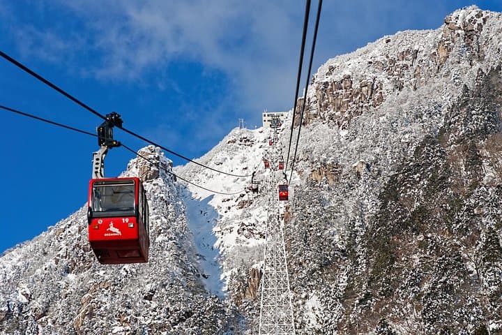 Mt. Gozaisho Ropeway & Nabana no Sato Illumination: Frozen Trees to Sparkling Nights photo 1