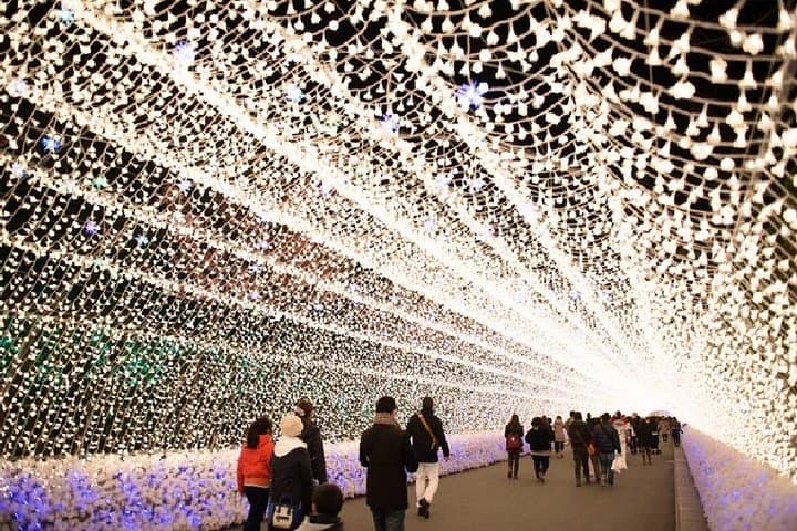Mt. Gozaisho Ropeway & Nabana no Sato Illumination: Frozen Trees to Sparkling Nights photo 3