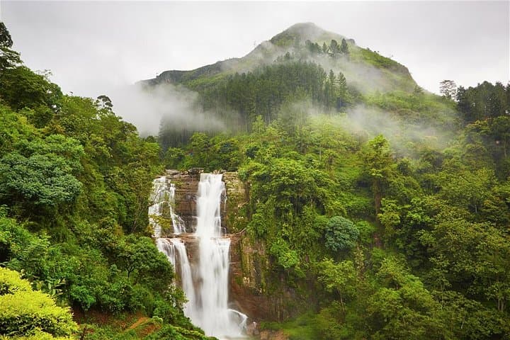 Nuwara Eliya Day Tour: Tea Plantations, Hakgala Gardens & Gregory Lake