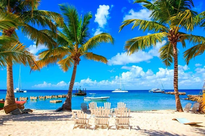 Saona Island Day Trip: Bayahibe Speedboat & Catamaran Excursion