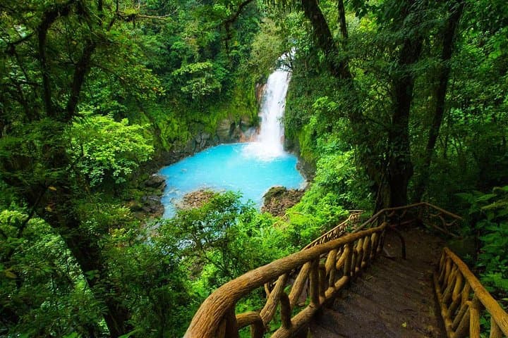 Rio Celeste Waterfall and Sloth Watching at Tenorio Volcano: Day Trip from San José photo 2