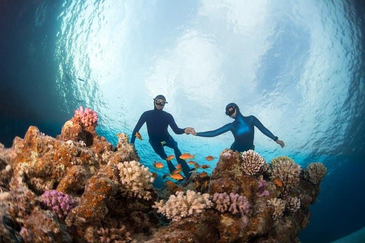 Try Freediving on Nusa Penida — Intro Freedive Course & Reef Experience