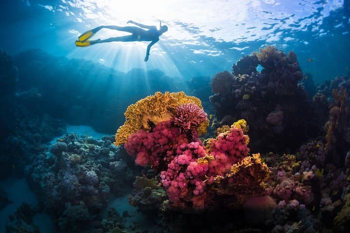 Try Freediving on Nusa Penida — Intro Freedive Course & Reef Experience photo 2
