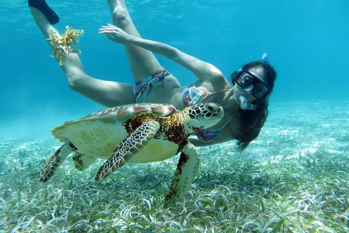 Southern Belize Barrier Reef Snorkel from Hopkins — Half-Day Boat Tour