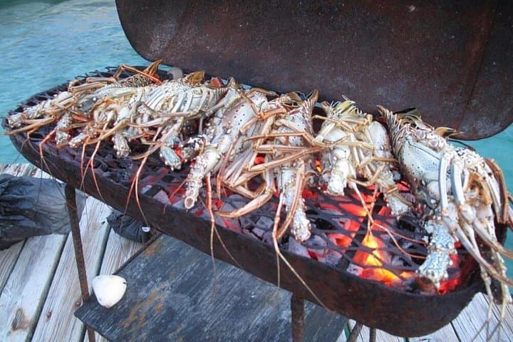Cook Your Catch: Southern Belize Private-Island Picnic, Snorkel & Fishing