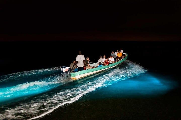 Hopkins Bioluminescence Tour: Sunset River Cruise to Anderson Lagoon photo 2