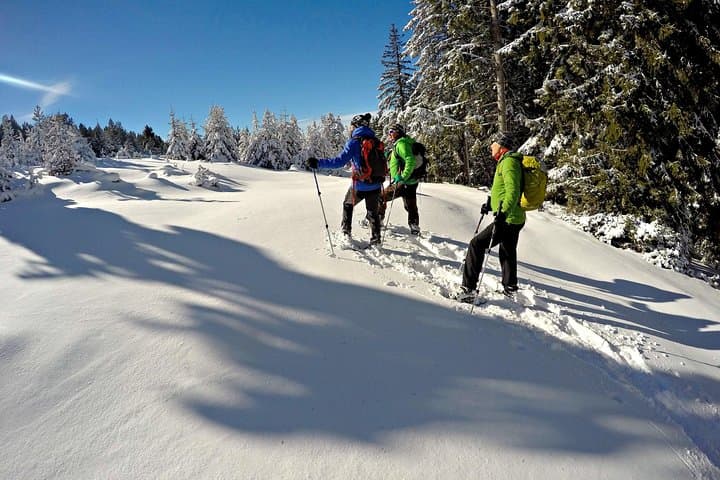 Snowshoe the Pyrenees: Day Trip from Barcelona to Rasos de Peguera