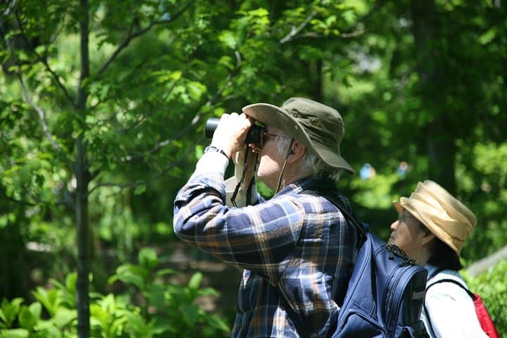 Arenal Volcano Bird Watching Experience: La Fortuna Guided Birding Tour photo 6