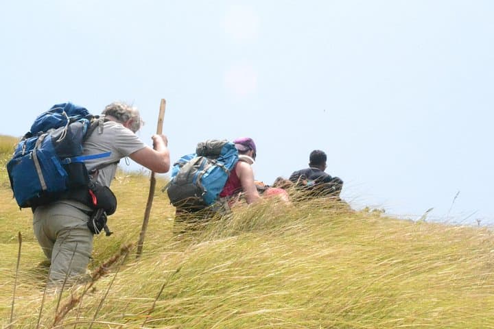 Kerala Bird Watching and Trekking Tour: Thattekad to Munnar Wildlife Escape photo 1