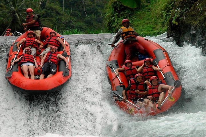 Telaga Waja River Rafting Bali: Full-Day Whitewater Trip with Waterfalls & Hotel Transfer photo 3