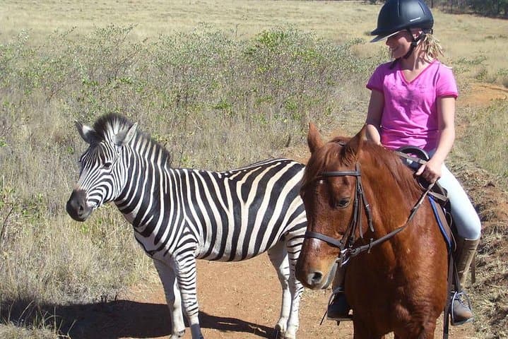 Horseback Safari in Pretoria — Private Game Reserve Rides with Close Wildlife Encounters