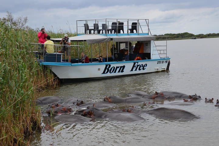 St Lucia Boat Safari: Hippos, Crocs & Birdlife from Richards Bay photo 3