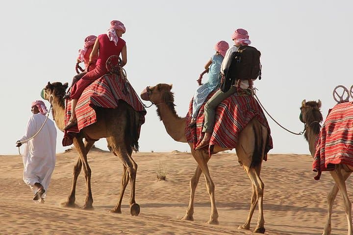 Red Dune Safari & City Highlights: Dubai City Tour, Dhow Cruise Dinner & Abu Dhabi Excursion photo 2