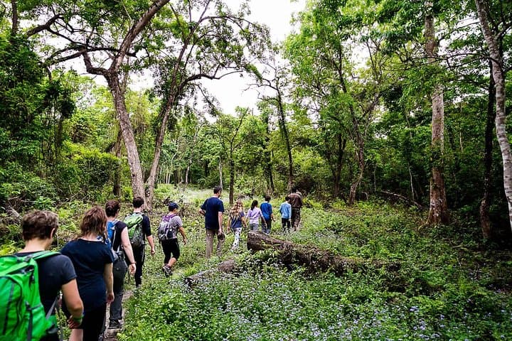 Luxury 2-Night Chitwan Safari from Kathmandu or Pokhara photo 6