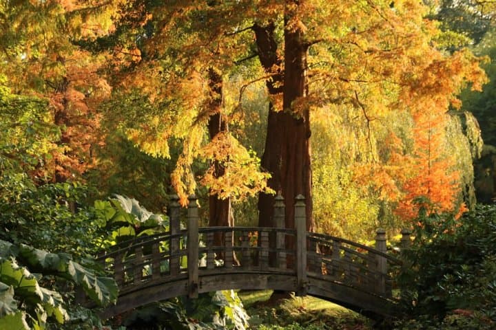 Explore Winterbourne House and Garden: Skip-the-Line Ticket to Birmingham Edwardian Botanic Garden photo 2