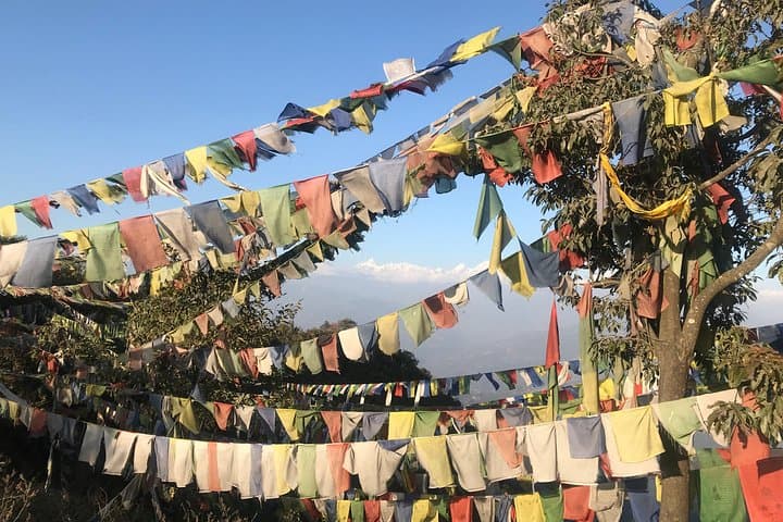 Phulchowki Day Hike from Kathmandu: Rhododendrons, Birds & Panoramic Views