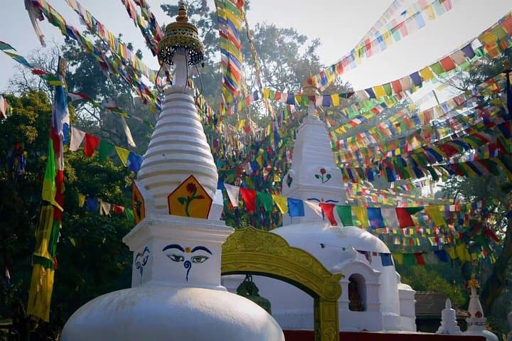 Phulchowki Day Hike from Kathmandu: Rhododendrons, Birds & Panoramic Views photo 2
