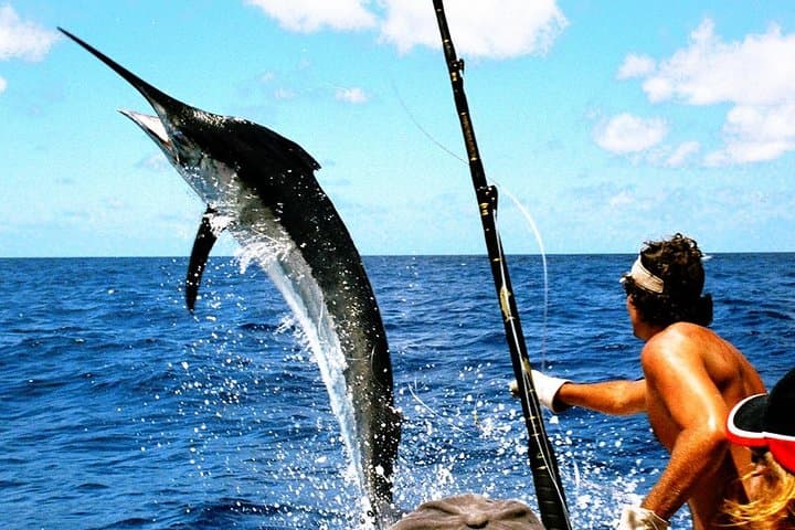 Punta Cana Deep Sea Fishing in Cabeza de Toro: 4-Hour Trolling Adventure photo 2