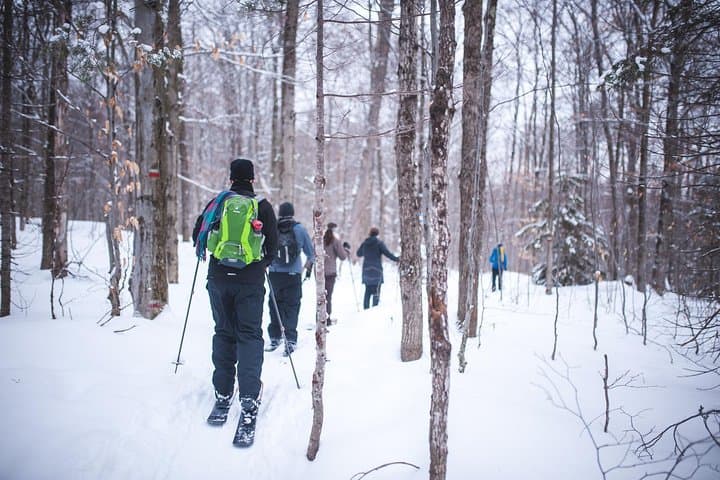 Hok-Ski Ski-Shoeing Excursion in Jacques-Cartier National Park — Winter Day Trip from Quebec City