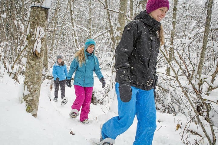 Snowshoeing in Jacques-Cartier National Park: Winter Day Tour from Quebec City