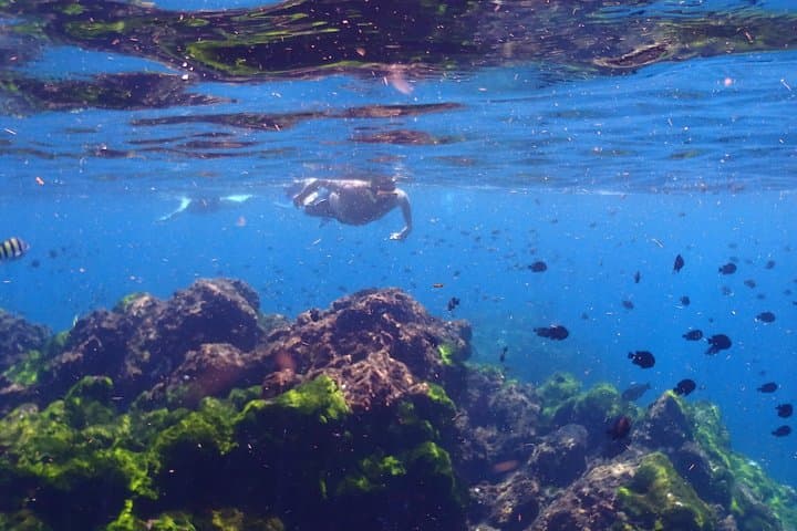 Surin Islands Snorkeling Day Trip from Phuket — Sea Turtles, Moken Village & Clear Water photo 3