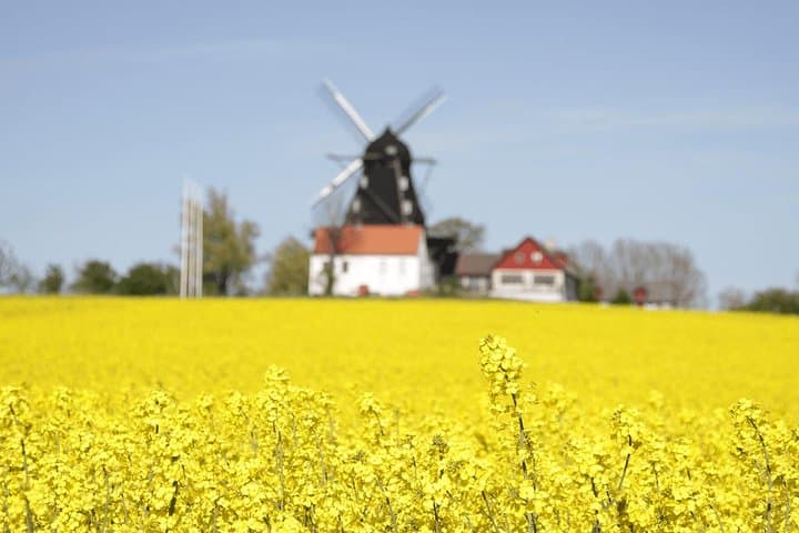 Swedish Countryside Bike Tour: Private Daytrip from Malmö photo 2