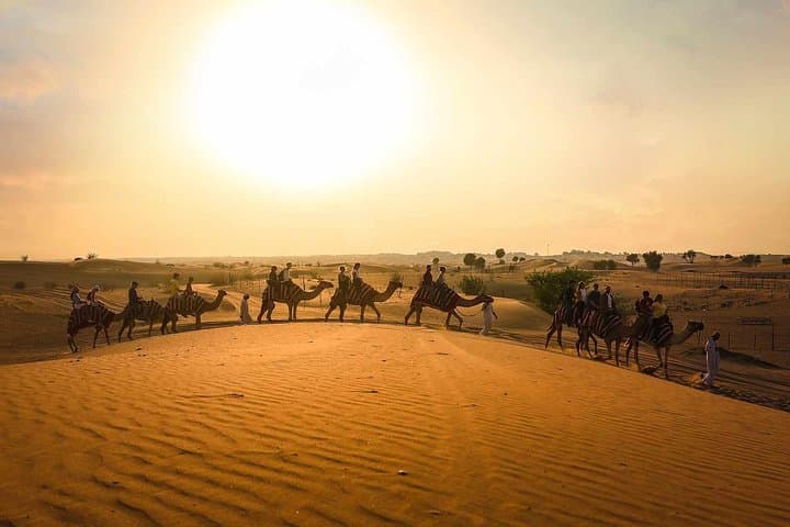 Dubai Sunset Camel Caravan and Al Khayma Camp BBQ Experience
