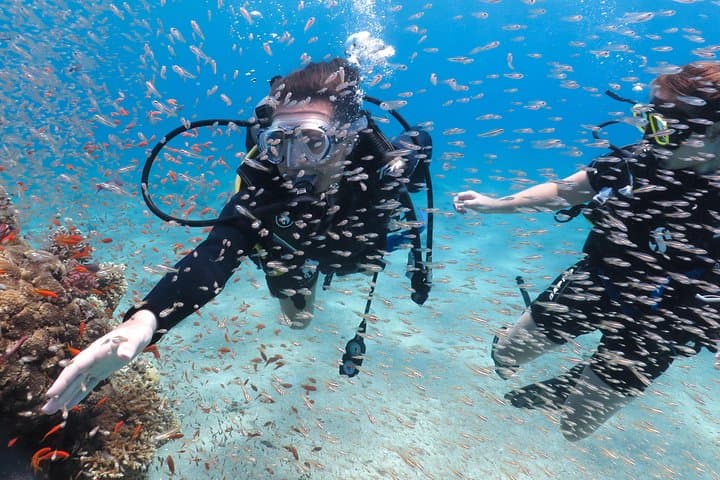 Introductory Scuba Dive on Eilat's Coral Reef — Private Instructor (25–30 min) photo 2